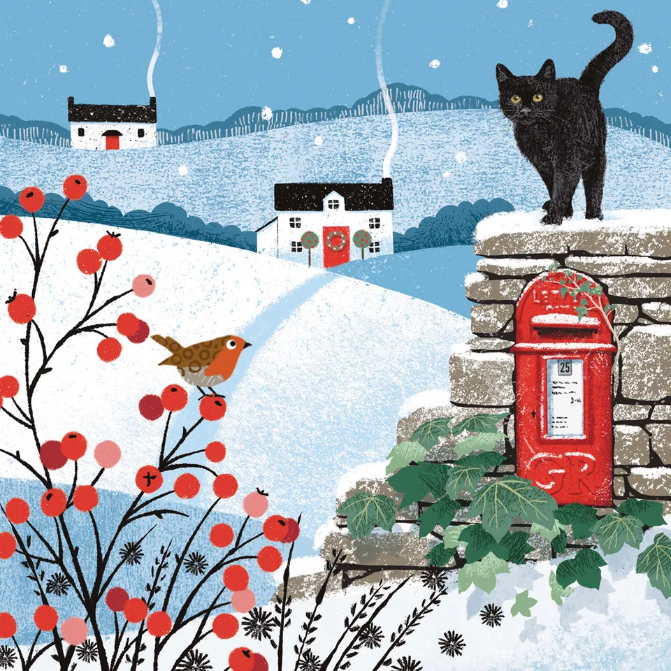 otter-house-weihnachtskarten-country-postbox-katze-charity-pack image 1