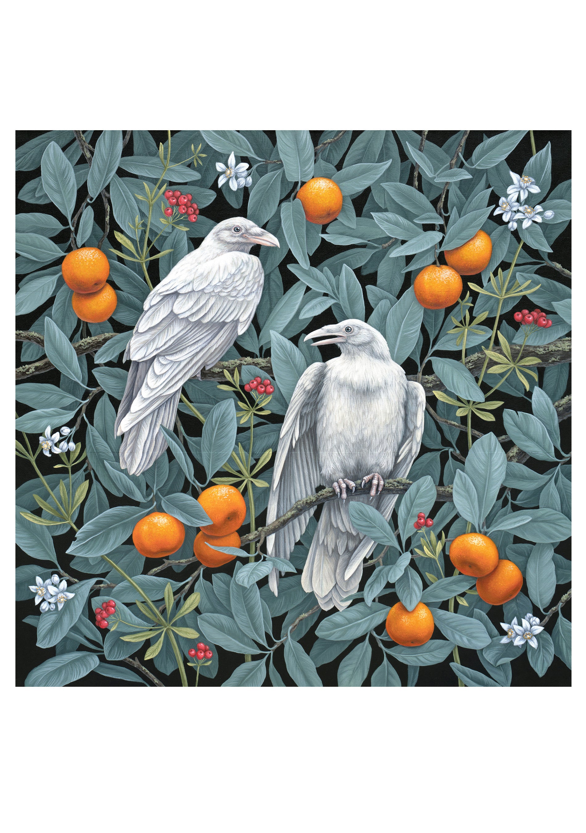 pomegranate-notecards-romanenko-birds-feather-karten-set-v-gel image 3