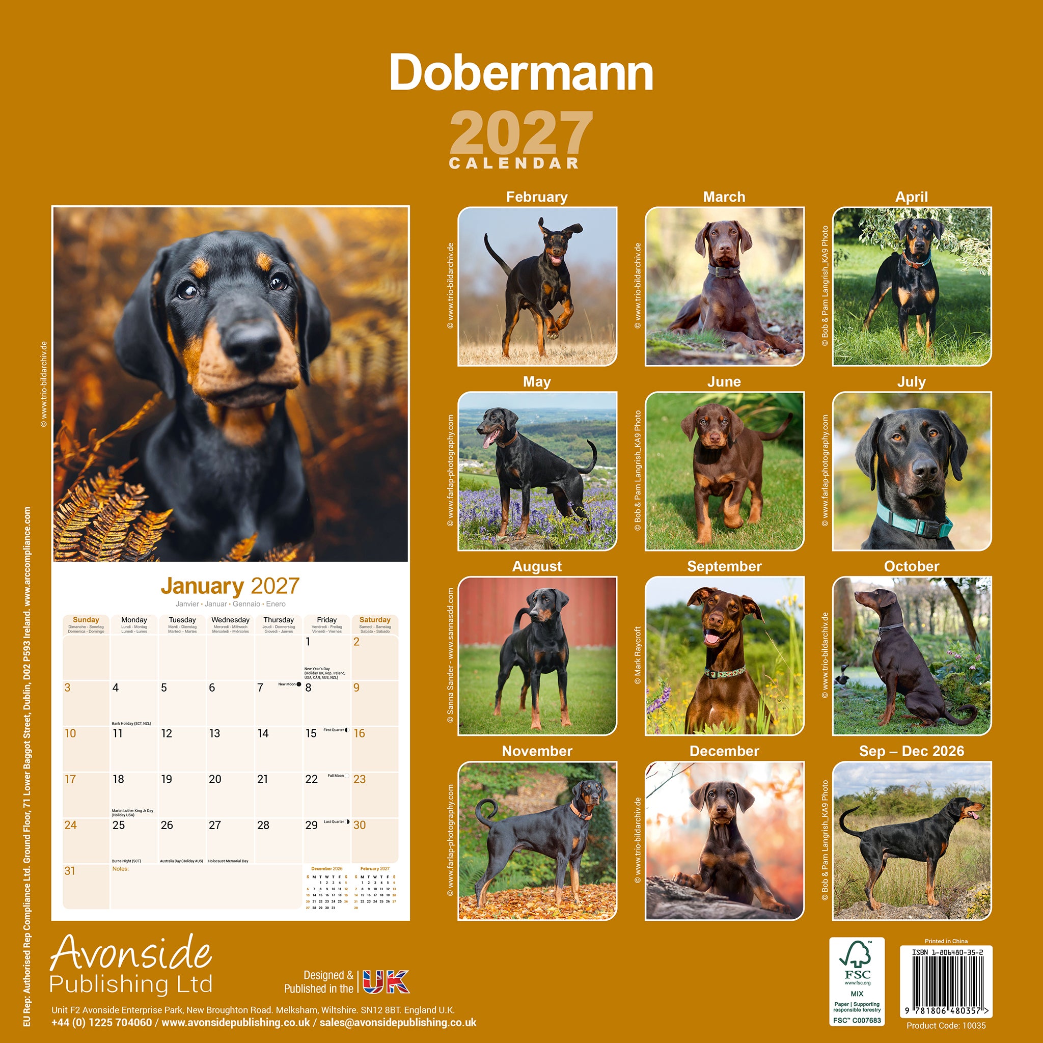 otter-house-dobermann-wandkalender-2027-hunde image 2