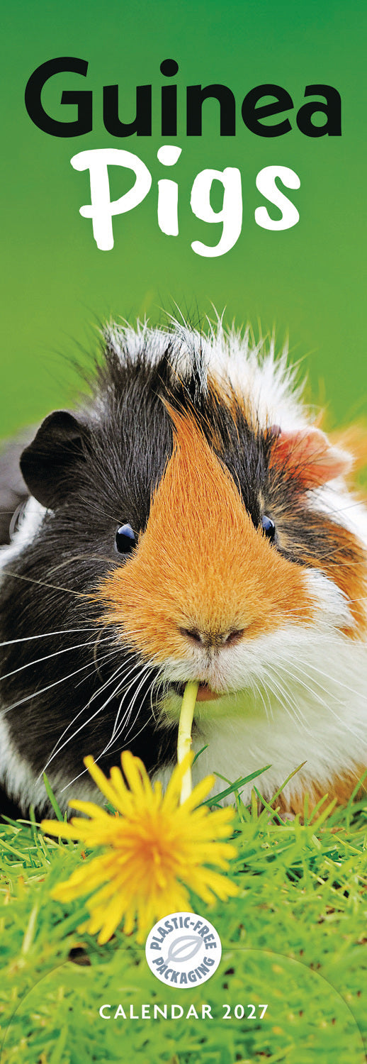 otter-house-guinea-pigs-slim-calendar-2027-tierkalender image 1