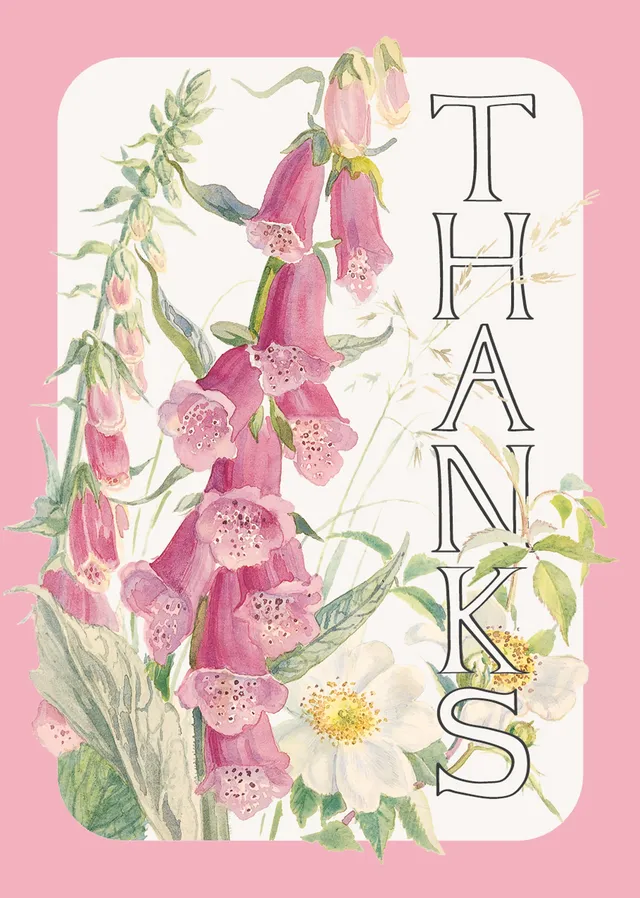 otter-house-edith-holden-foxglove-mini-notecards-6er-pack-floral image 1