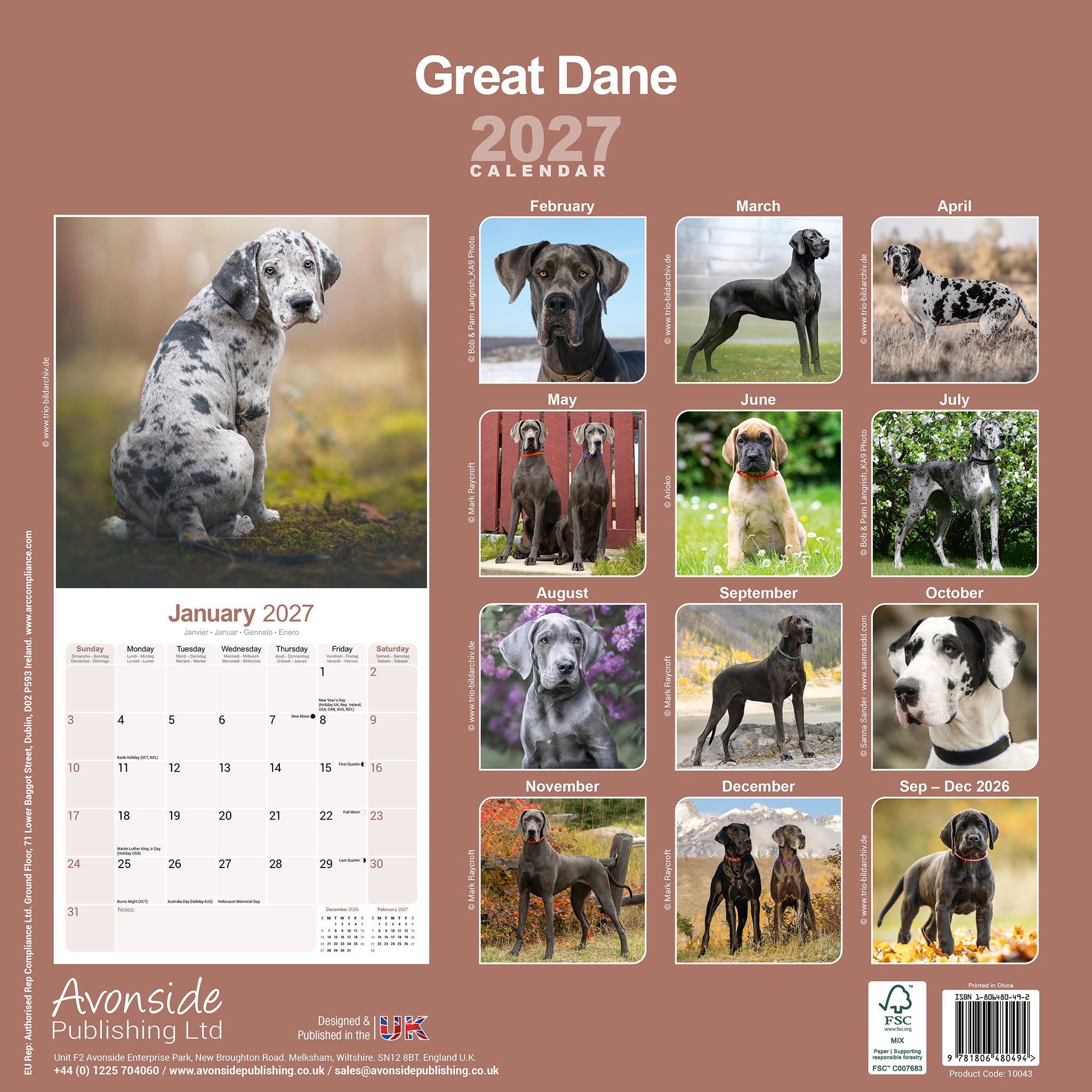 otter-house-great-dane-wandkalender-2027-deutsche-dogge image 2