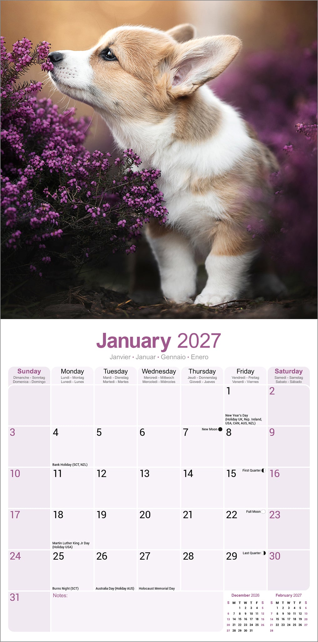 otter-house-corgi-wandkalender-2027-hundekalender image 3
