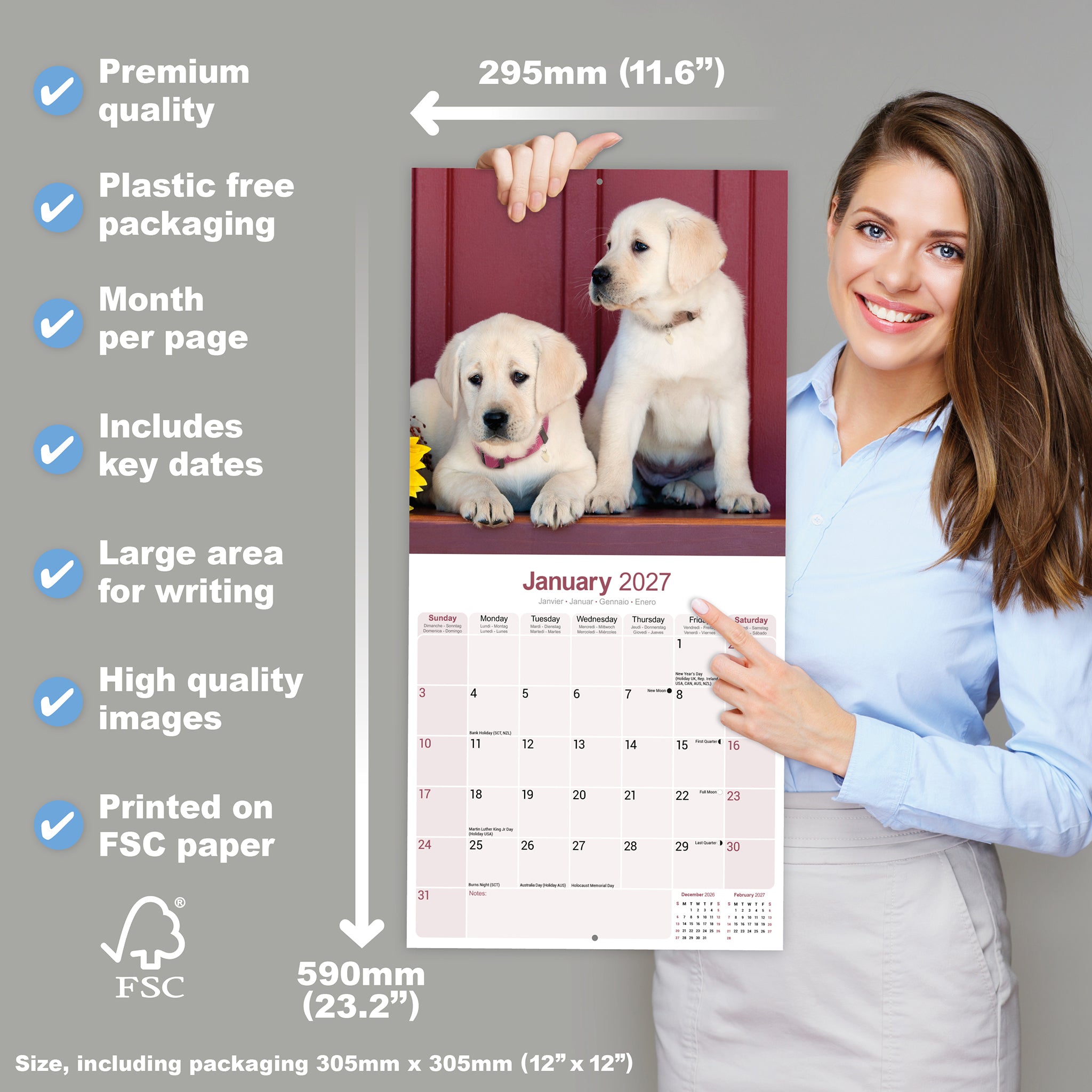 otter-house-labrador-retriever-wandkalender-2027-hund image 4