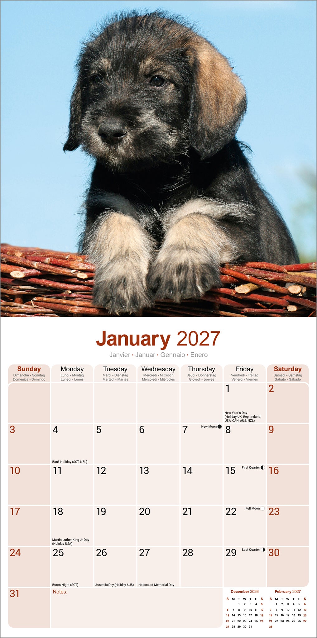 otter-house-schnauzer-wandkalender-2027-hunde image 3