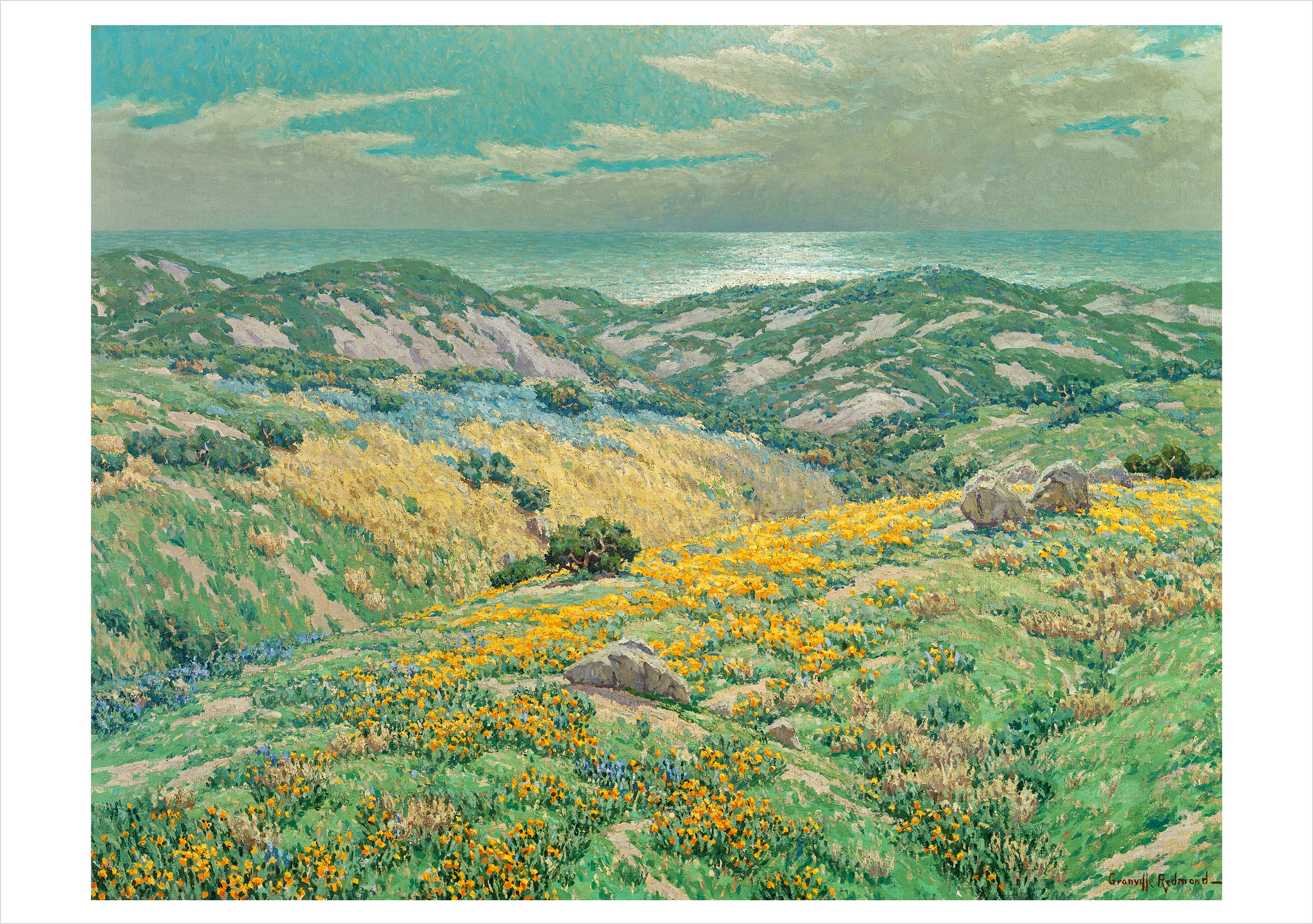 pomegranate-redmond-wild-poppies-gru-kartenset-20-karten-landschaft image 2