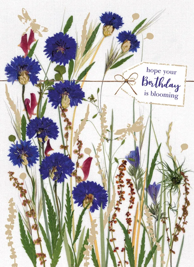 otter-house-flower-press-cornflowers-geburtstagskarte-blumen image 1