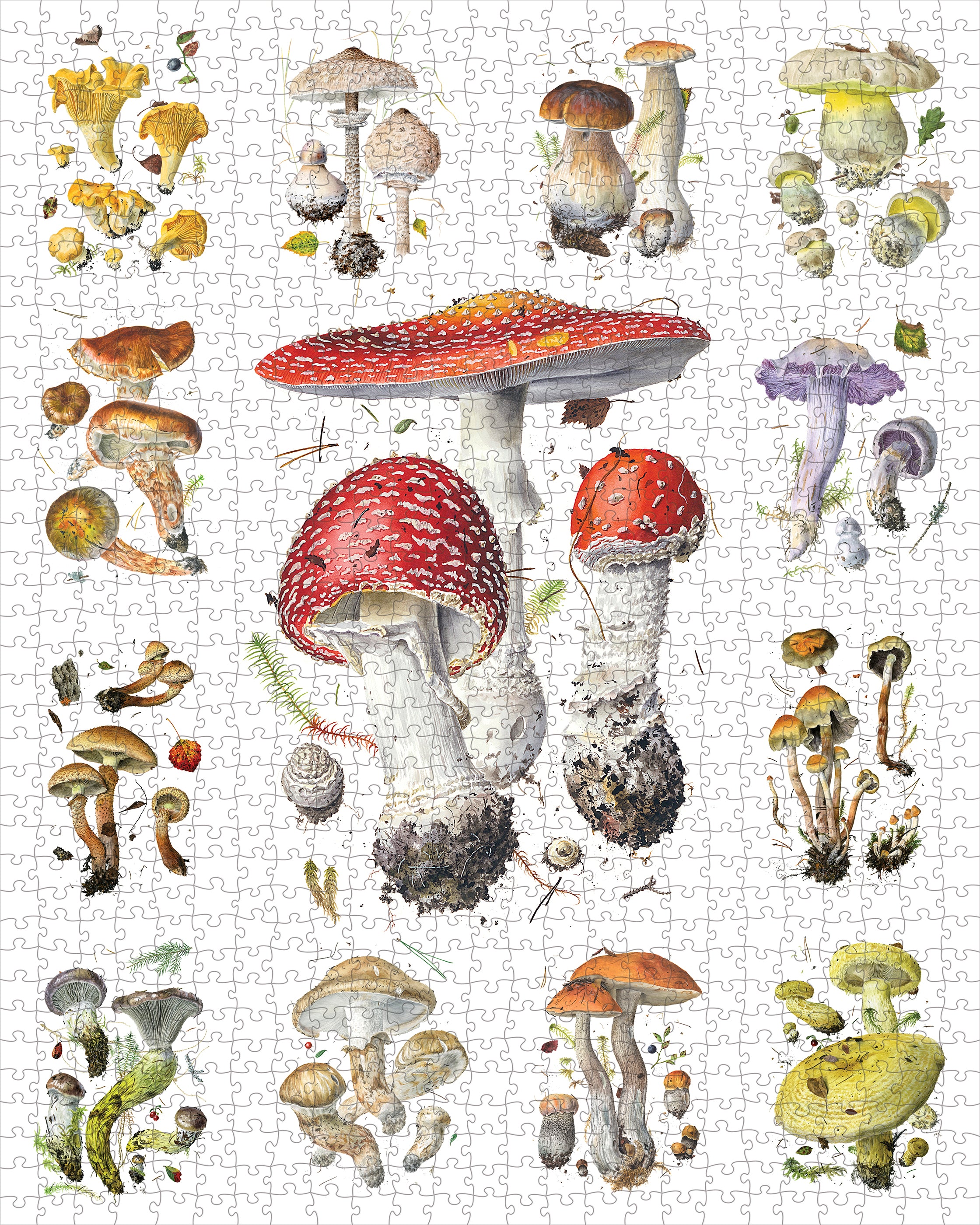 pomegranate-viazmensky-mushrooms-puzzle-1000-teile-pilze image 2