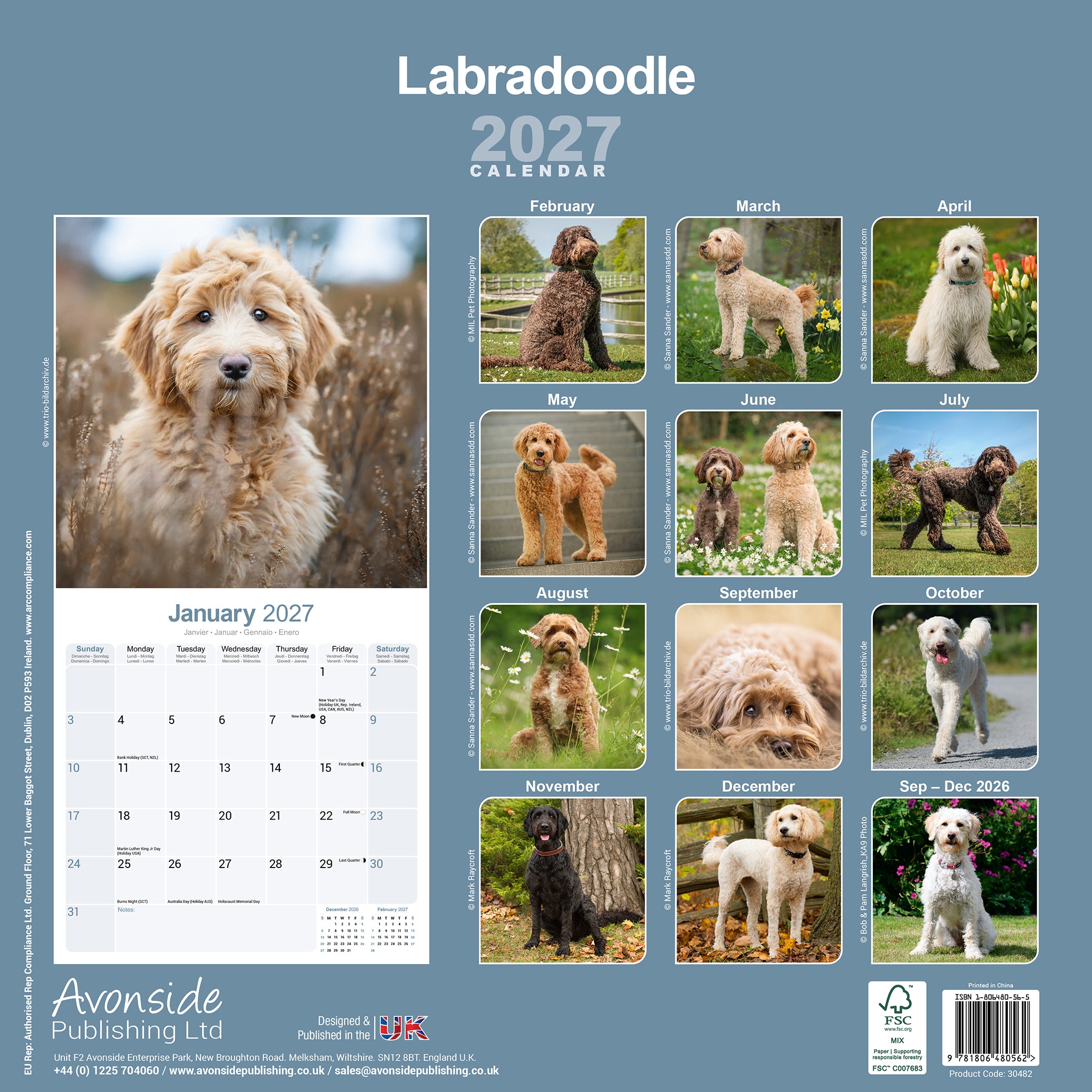 otter-house-labradoodle-wall-calendar-2027-wandkalender-hunde image 2
