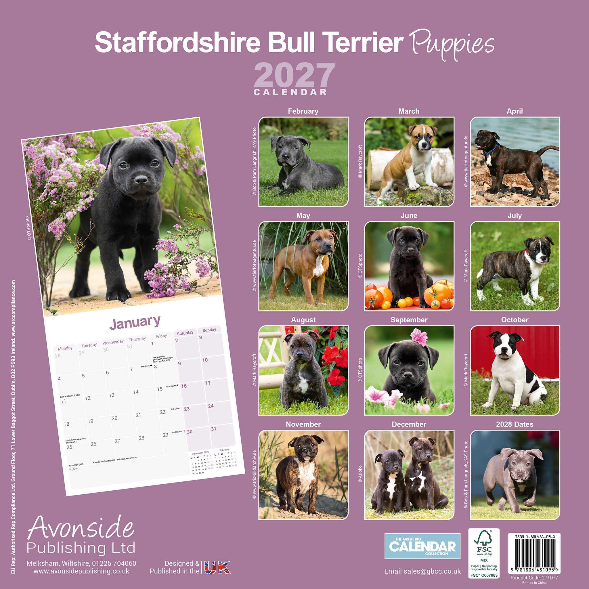 otter-house-staffordshire-bull-terrier-wandkalender-2027 image 2