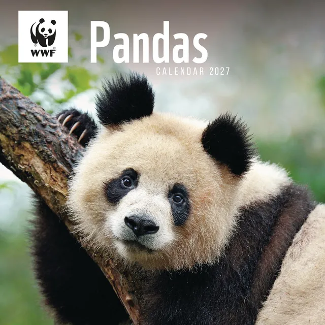 otter-house-pandas-wwf-wandkalender-2027-panda image 1