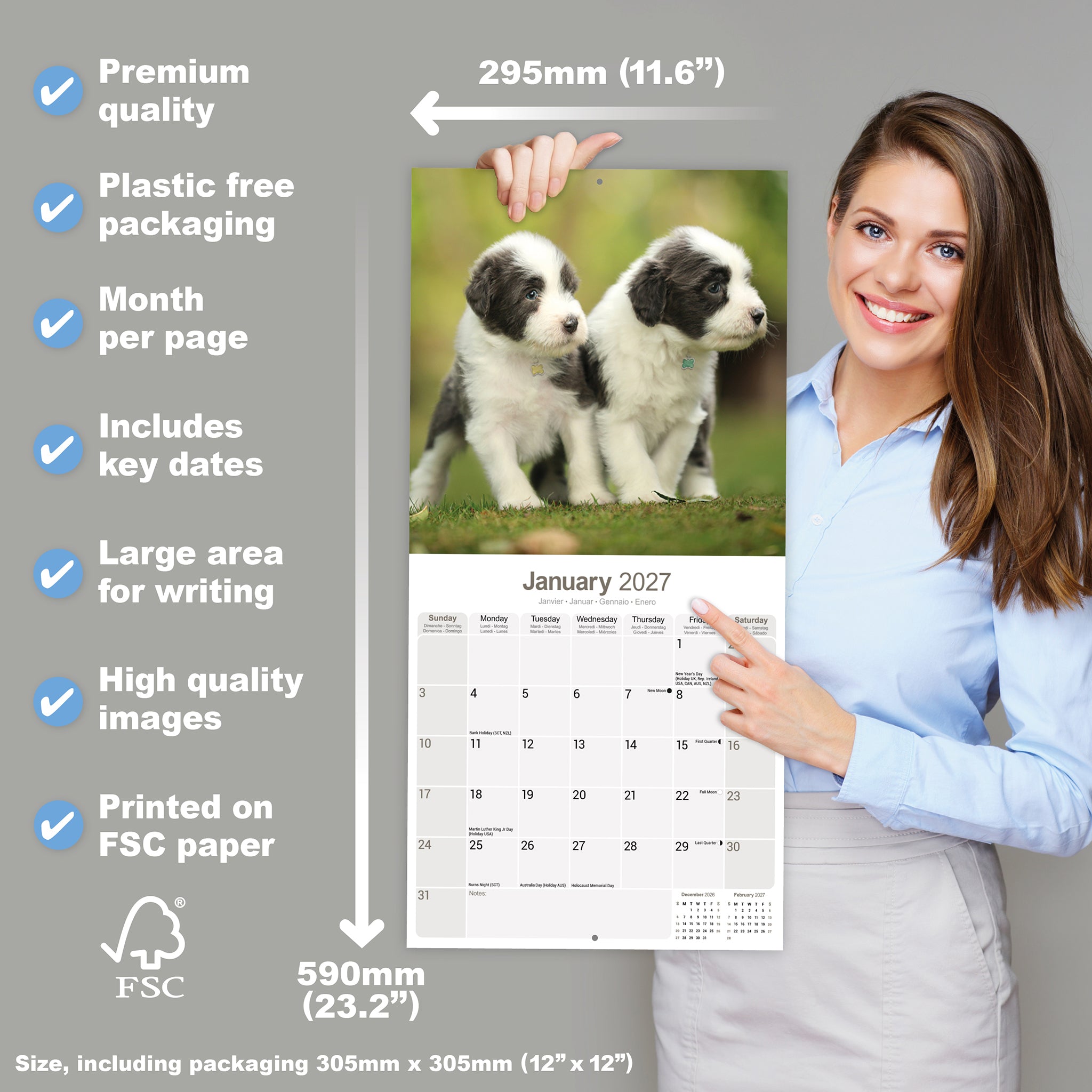 otter-house-bearded-collie-wandkalender-2027-hund image 4