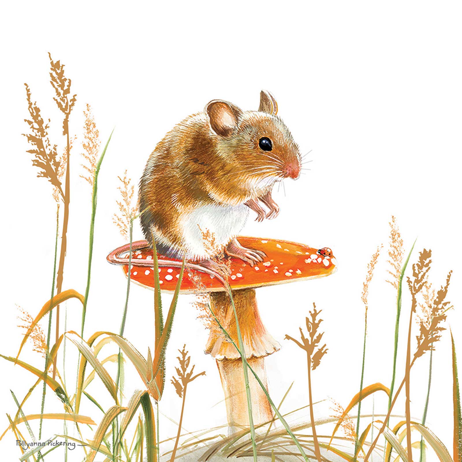 otter-house-pollyanna-pickering-maus-gru-karte image 1