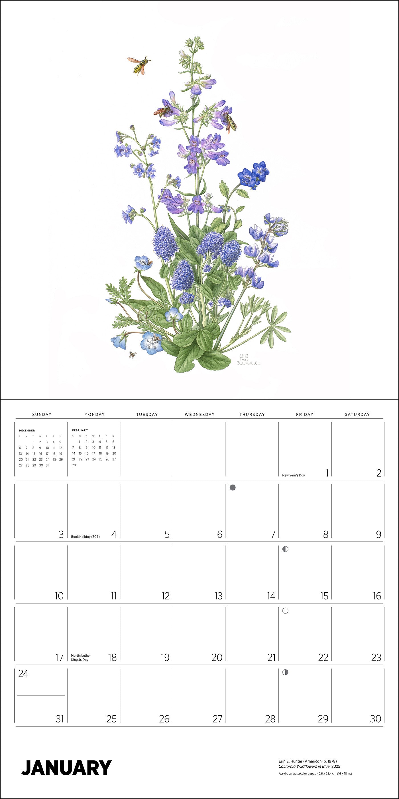 pomegranate-pollinators-2027-wandkalender-erin-hunter image 3