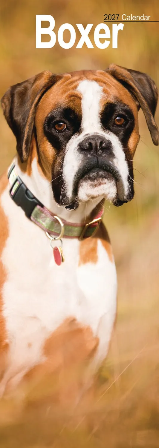 otter-house-boxer-slim-kalender-2027-hunde-schmal image 1