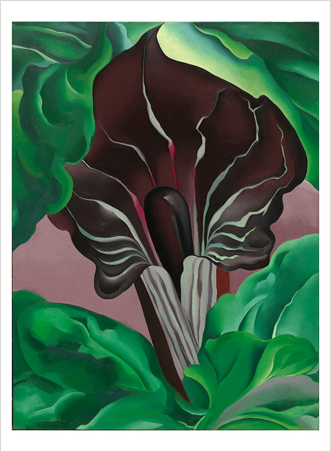 pomegranate-georgia-o-keeffe-abstraction-postkartenbuch-26-karten image 3