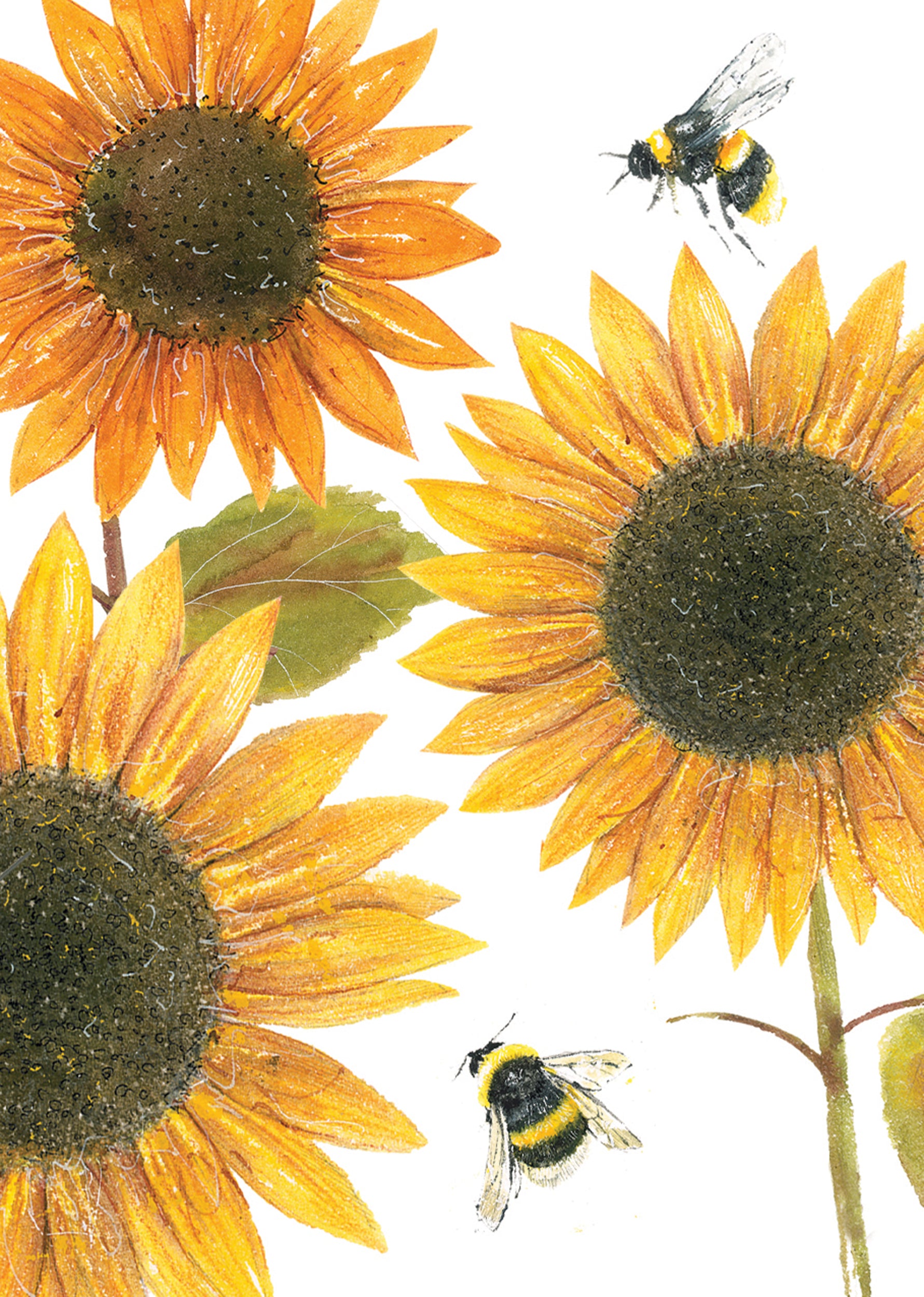 otter-house-sunflowers-mini-notizkarten-6er-blumen-bienen image 2