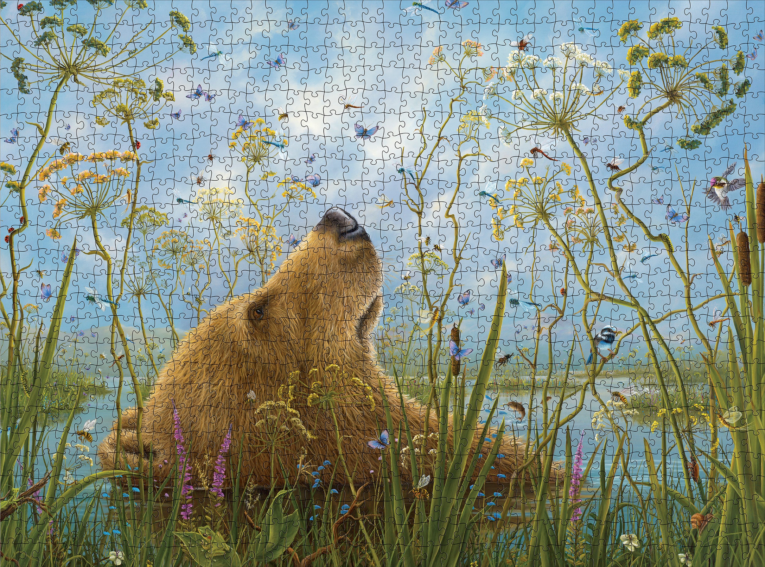 pomegranate-jigsaw-puzzles-robert-bissell-whole-world-puzzle-1000-b-r image 2