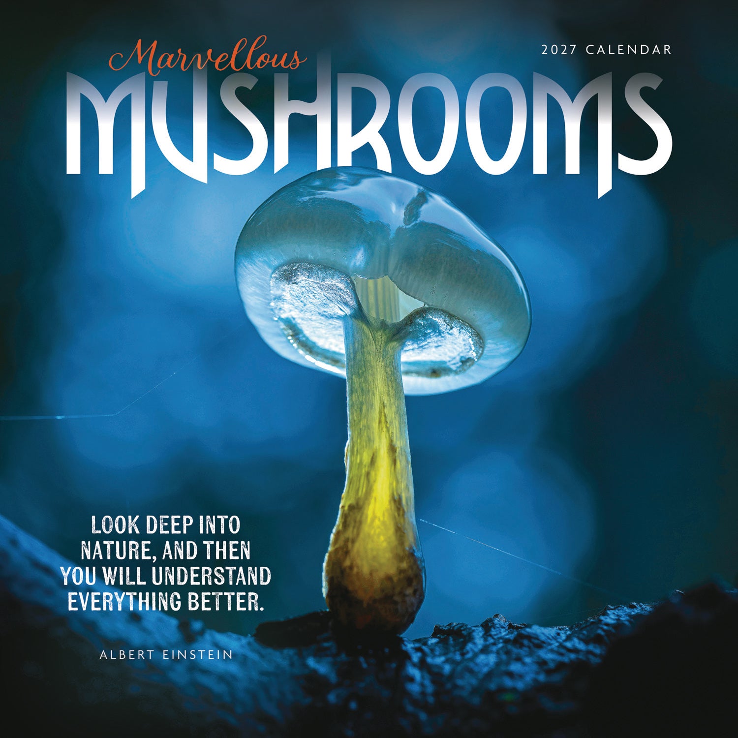 otter-house-marvellous-mushrooms-wandkalender-2027-pilze image 1