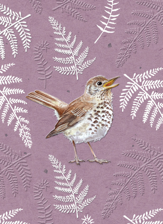otter-house-rspb-in-the-wild-song-thrush-grusskarte-singdrossel image 1