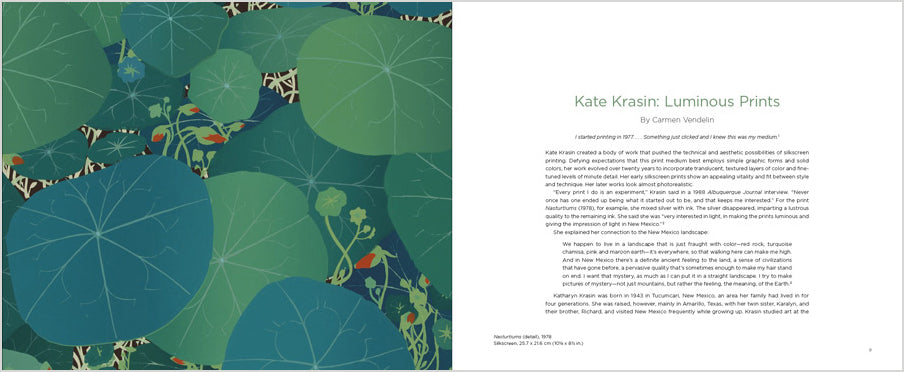 pomegranate-kate-krasin-luminous-prints-kunstbuch-landschaften image 2