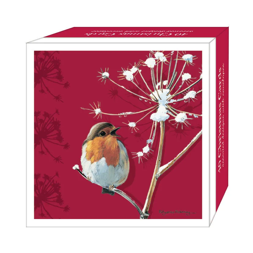 otter-house-christmas-robins-weihnachtskarten-set-rotkehlchen image 1