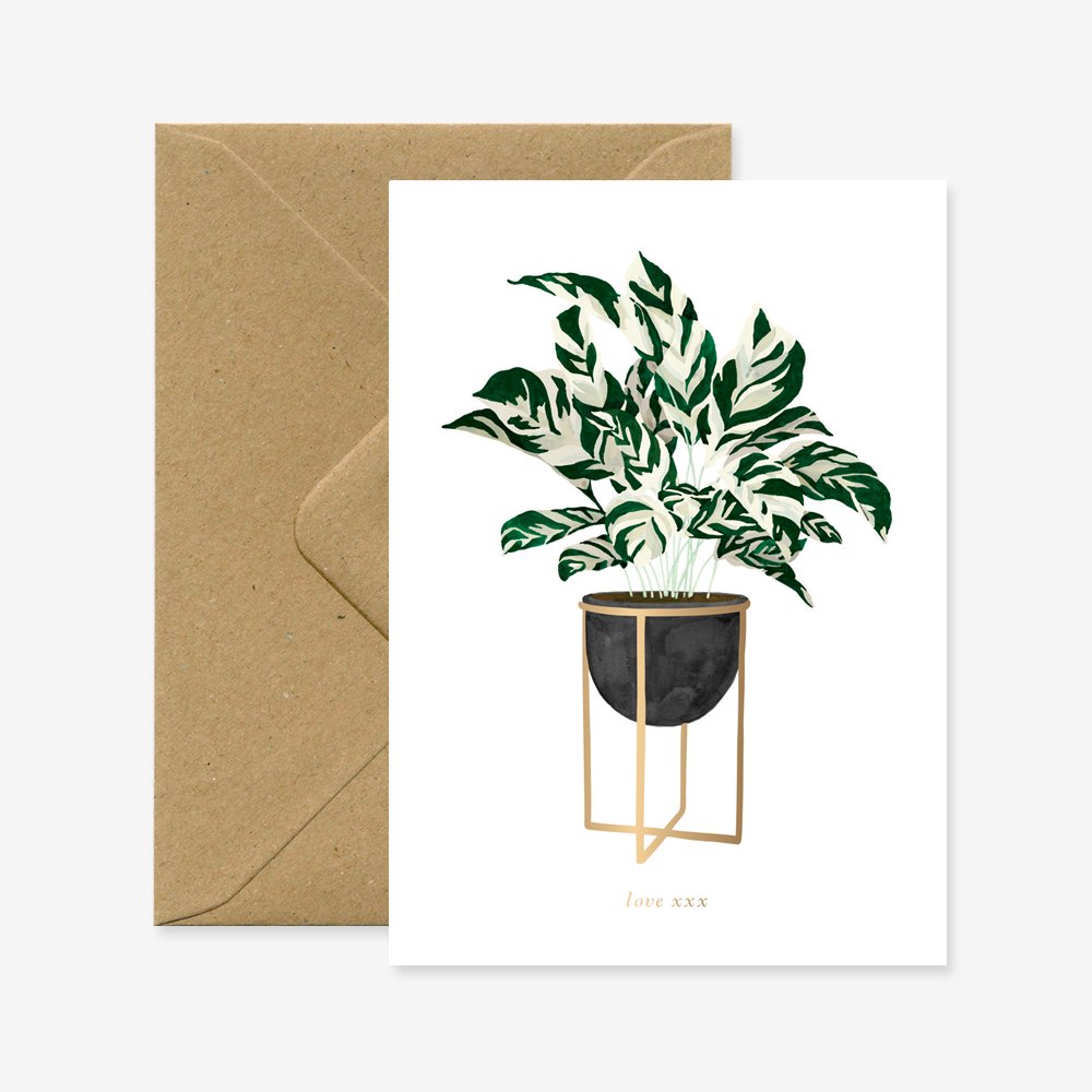 all-the-ways-to-say-calathea-gru-karte-a6-botanik image 1