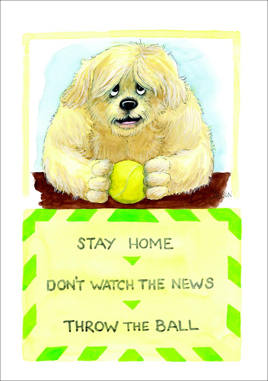splimple-alison-s-animals-throw-the-ball-gru-karte-hund image 1
