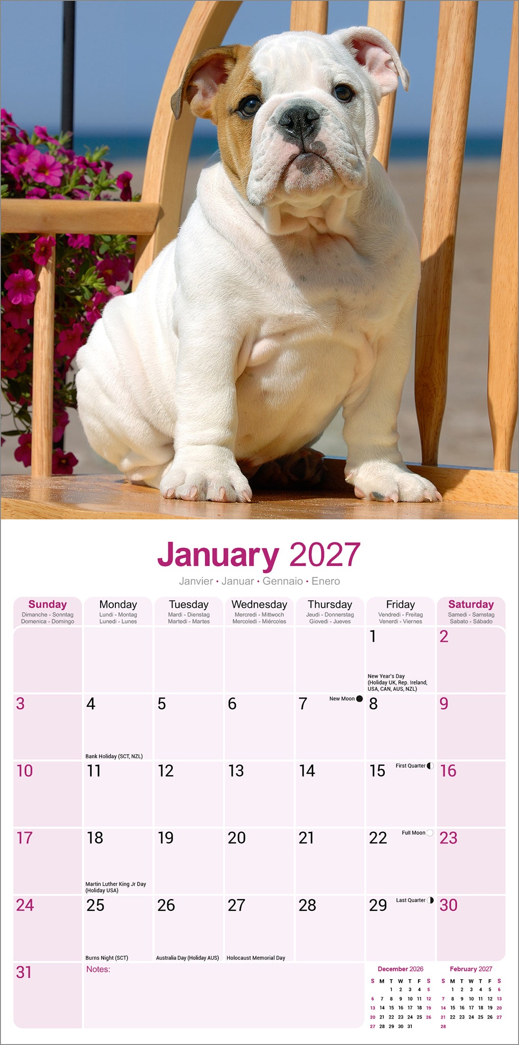 otter-house-bulldog-wandkalender-2027-hunde image 3