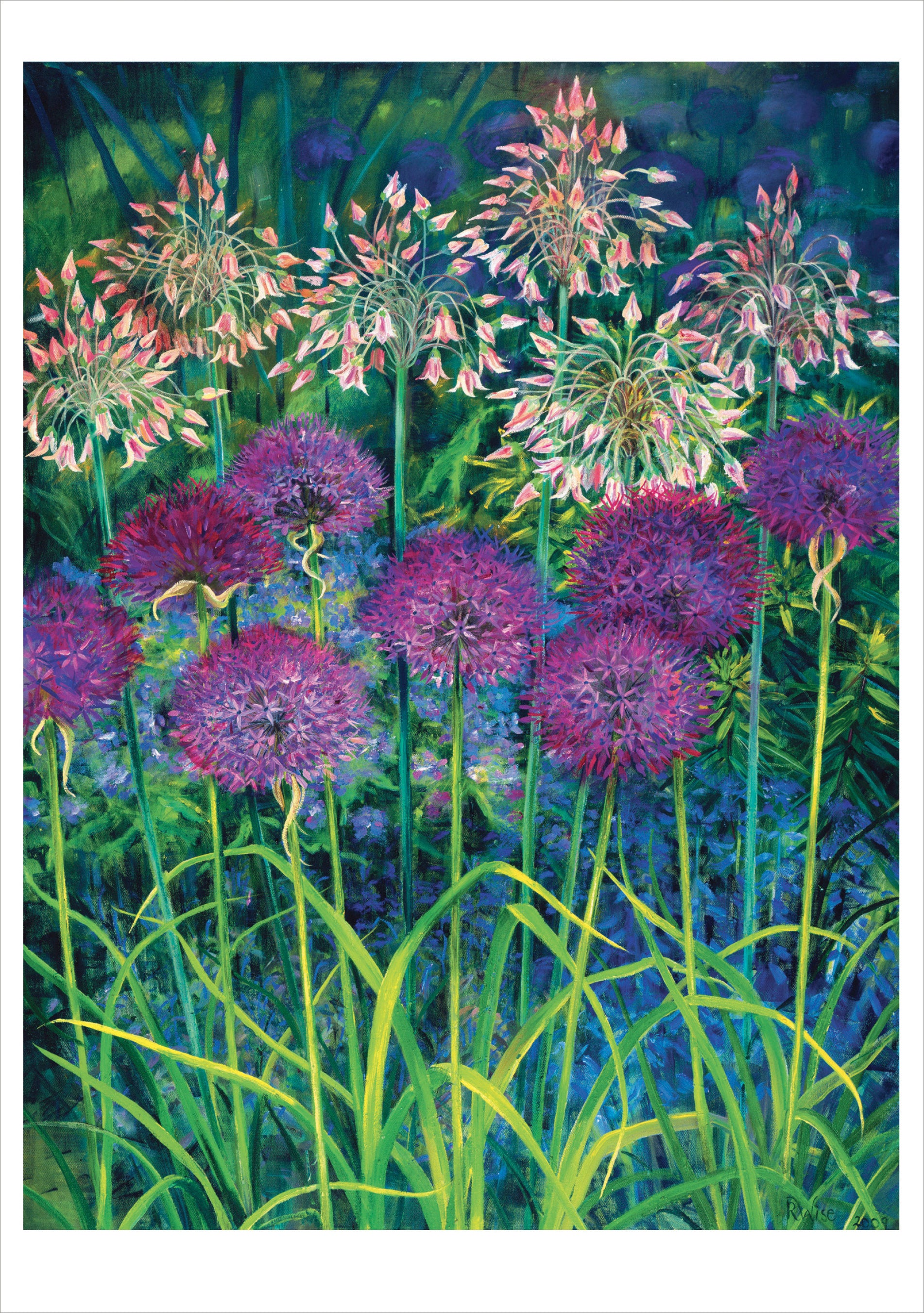 pomegranate-rosalind-wise-alliums-klappkarte-blanko image 1