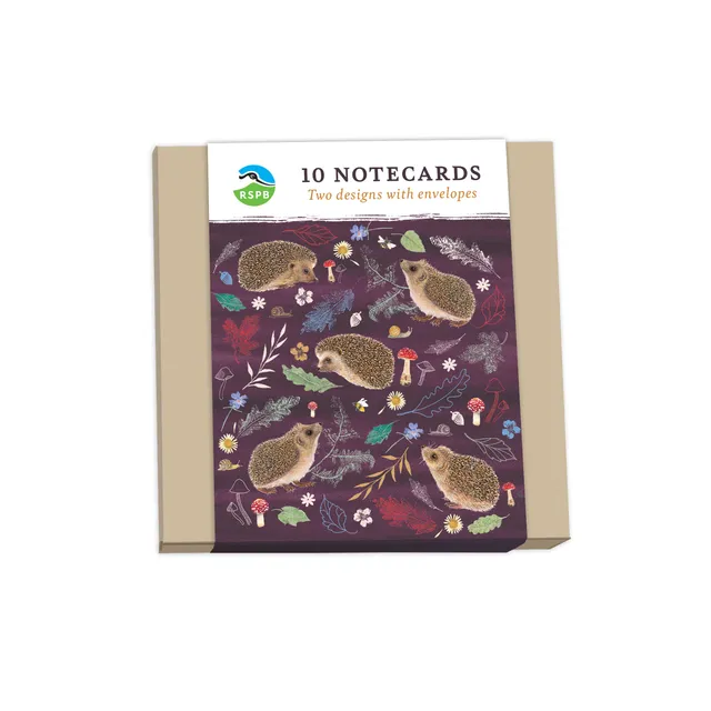otter-house-beyond-hedgerow-klappkarten-igel-10er-pack image 1