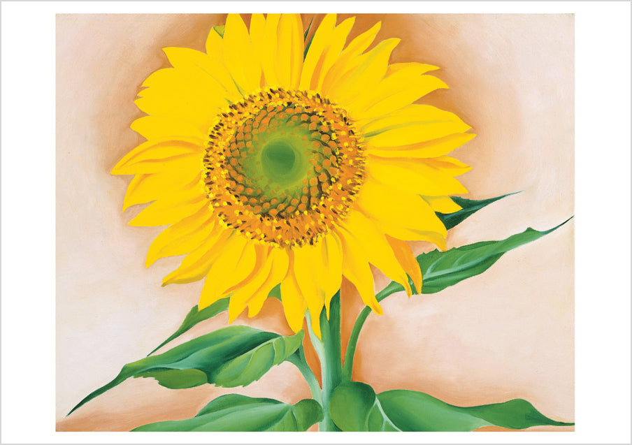 pomegranate-notecards-o-keeffe-sunflowers-gru-karten-folio-10-karten-blumen image 2
