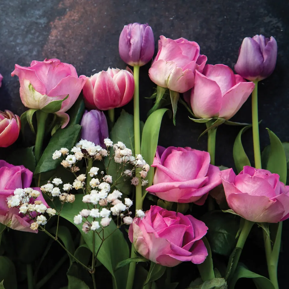 otter-house-alex-sharp-gru-karte-tulpen-rosen-floral image 1