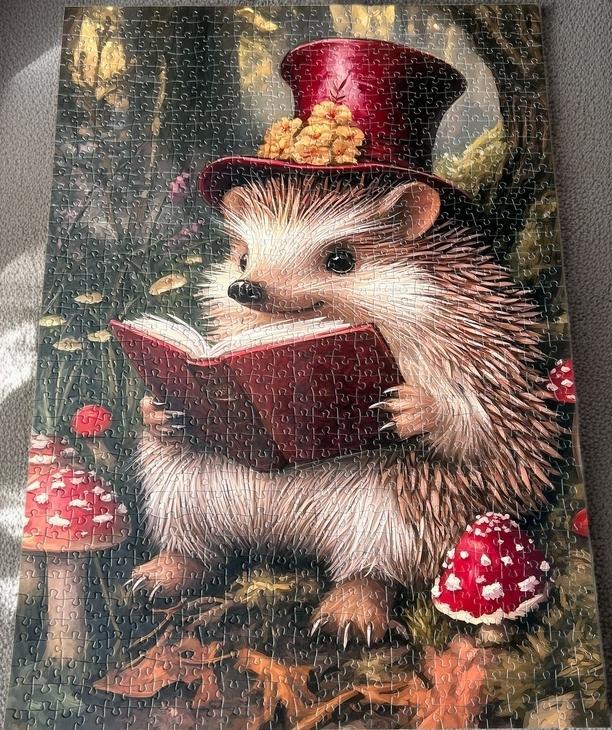 Igel mit Buch