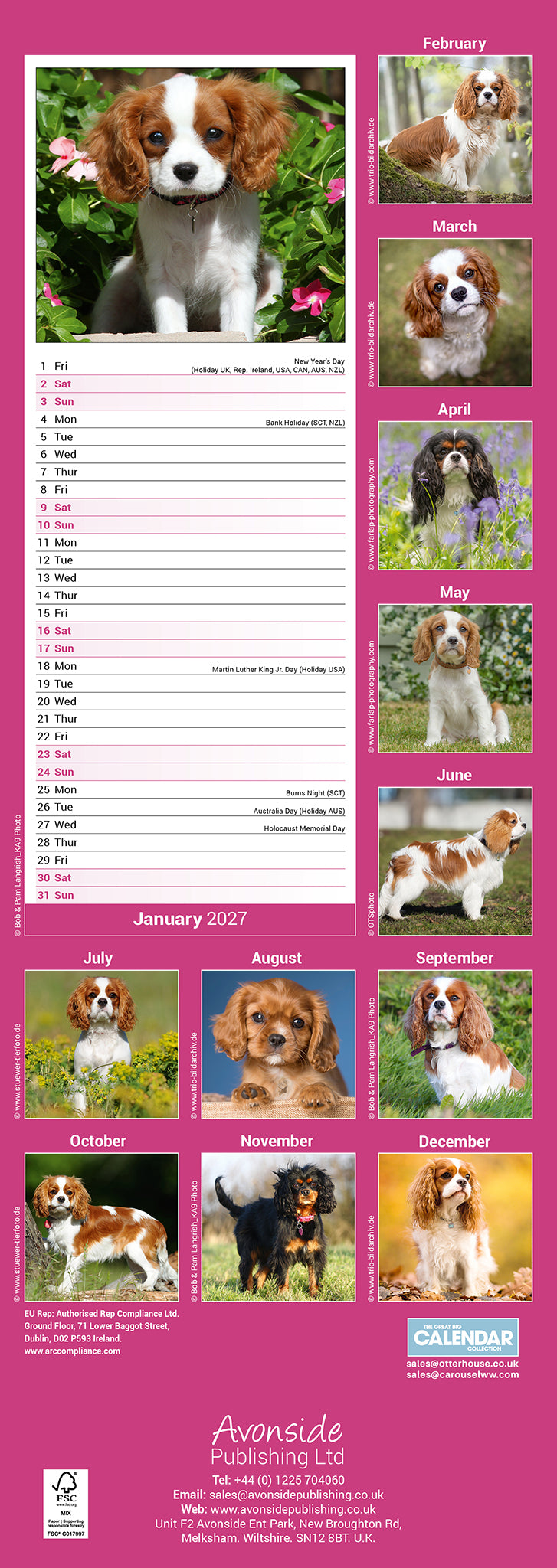 otter-house-cavalier-king-charles-slim-kalender-2027-hund image 2