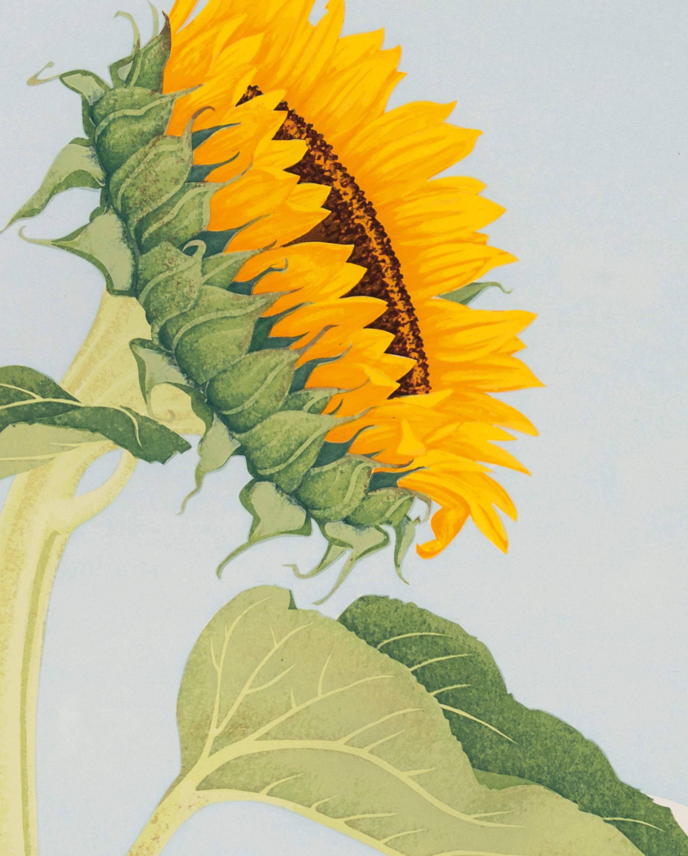 pomegranate-kate-krasin-sunflower-lesezeichen-sonnenblume image 2