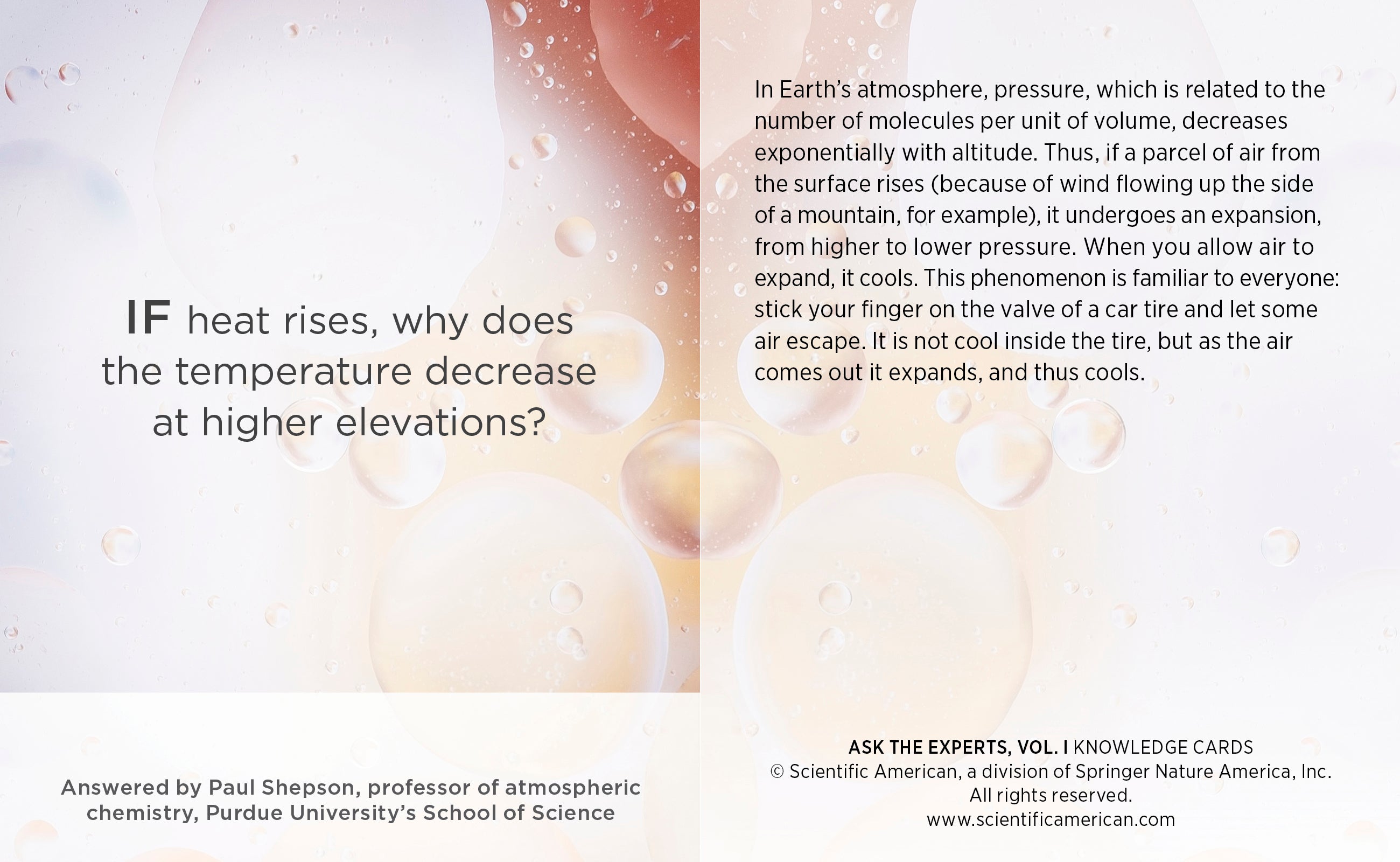 pomegranate-knowledge-cards-ask-the-experts-vol-1-wissenskarten-48-karten image 3