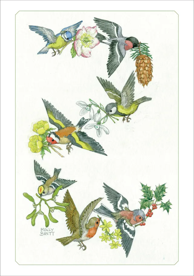 pomegranate-blank-notecards-brett-birds-klappkarte-einzeln image 1