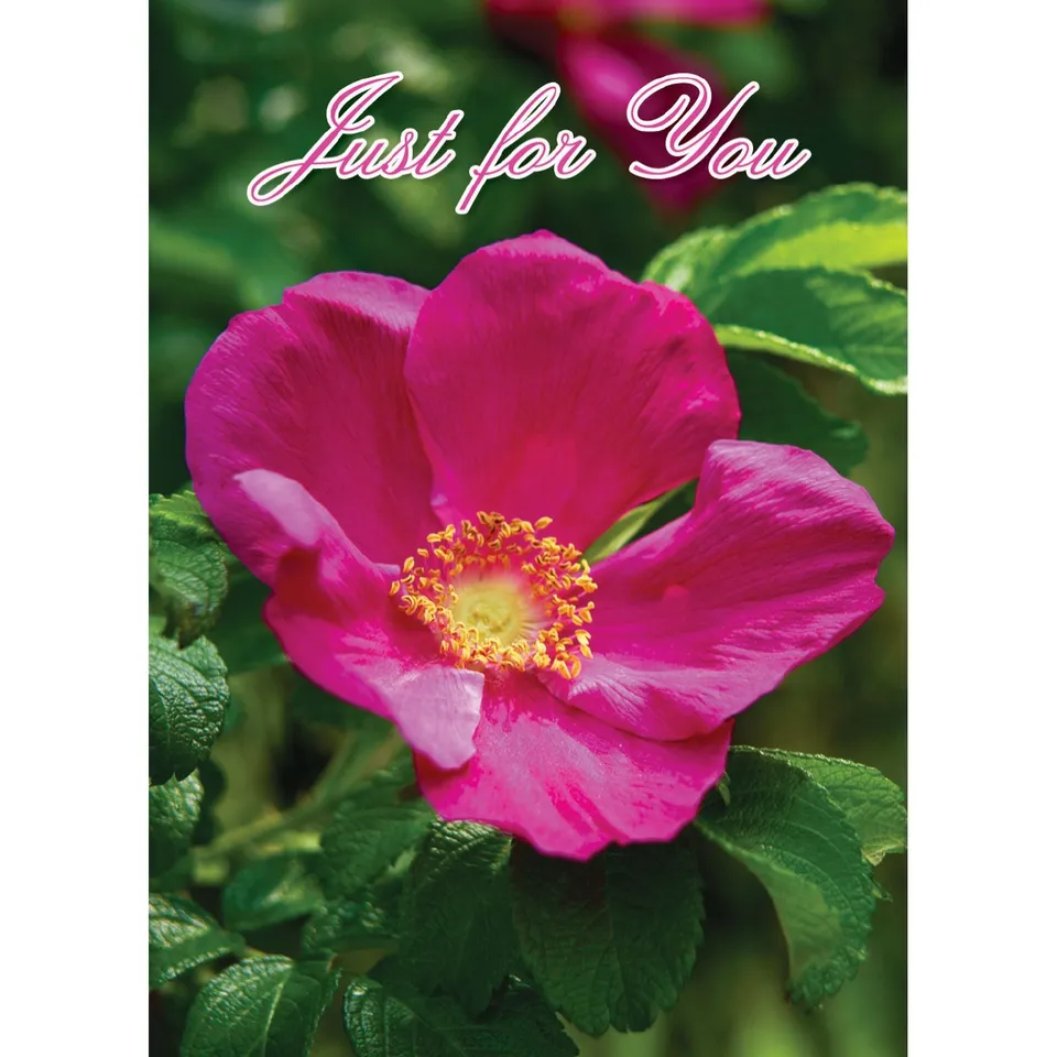 otter-house-just-for-you-mini-notecards-8er-pack-floral image 1