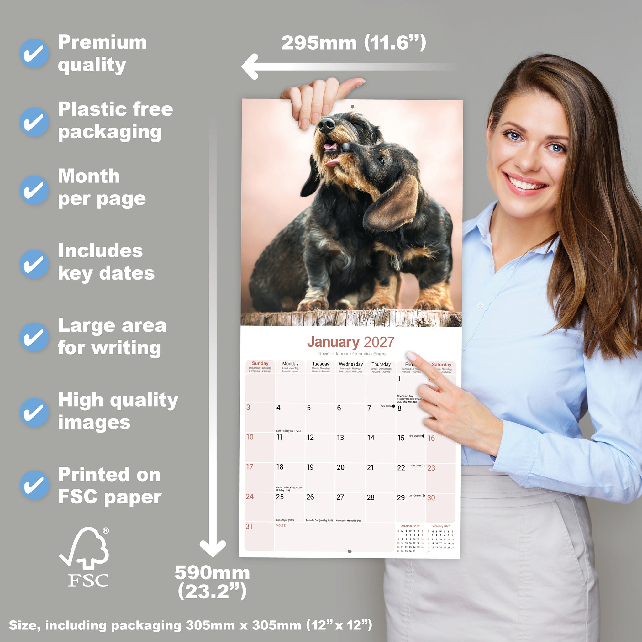 otter-house-dachshunds-wirehaired-wandkalender-2027-rauhaardackel image 4