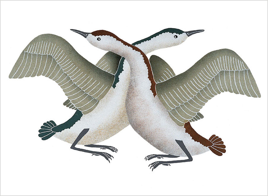 pomegranate-inuit-art-birds-postkartenbuch-30-karten image 3