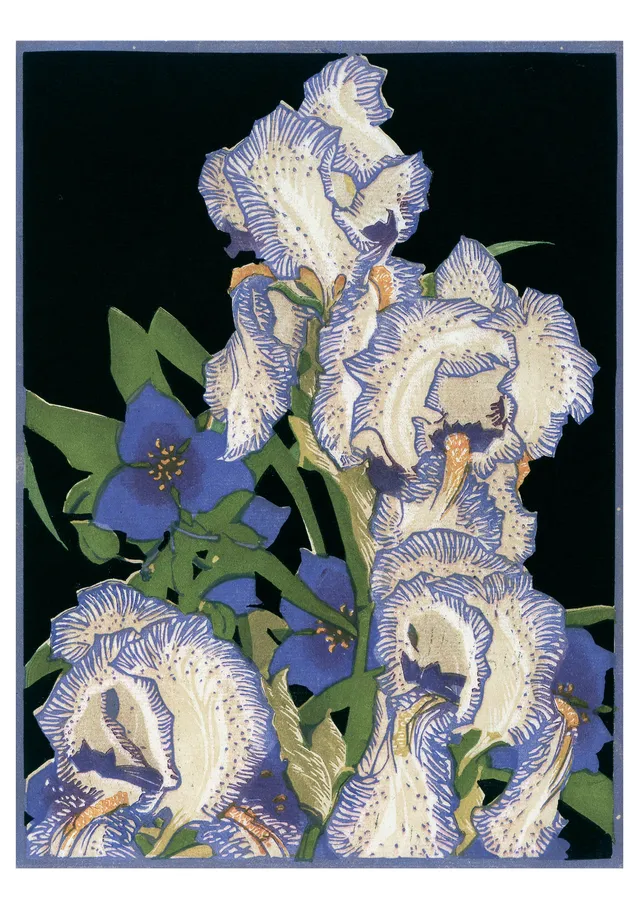 pomegranate-carmichael-iris-klappkarte-blanko image 1
