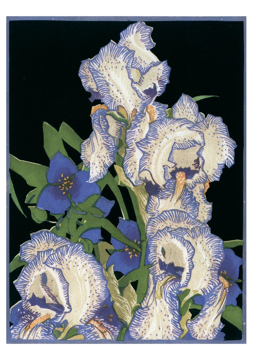 pomegranate-carmichael-iris-klappkarte-blanko image 1