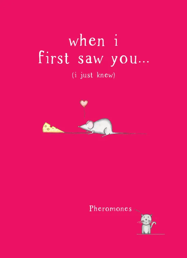 otter-house-greetings-cards-when-i-first-saw-you-valentinskarte image 1