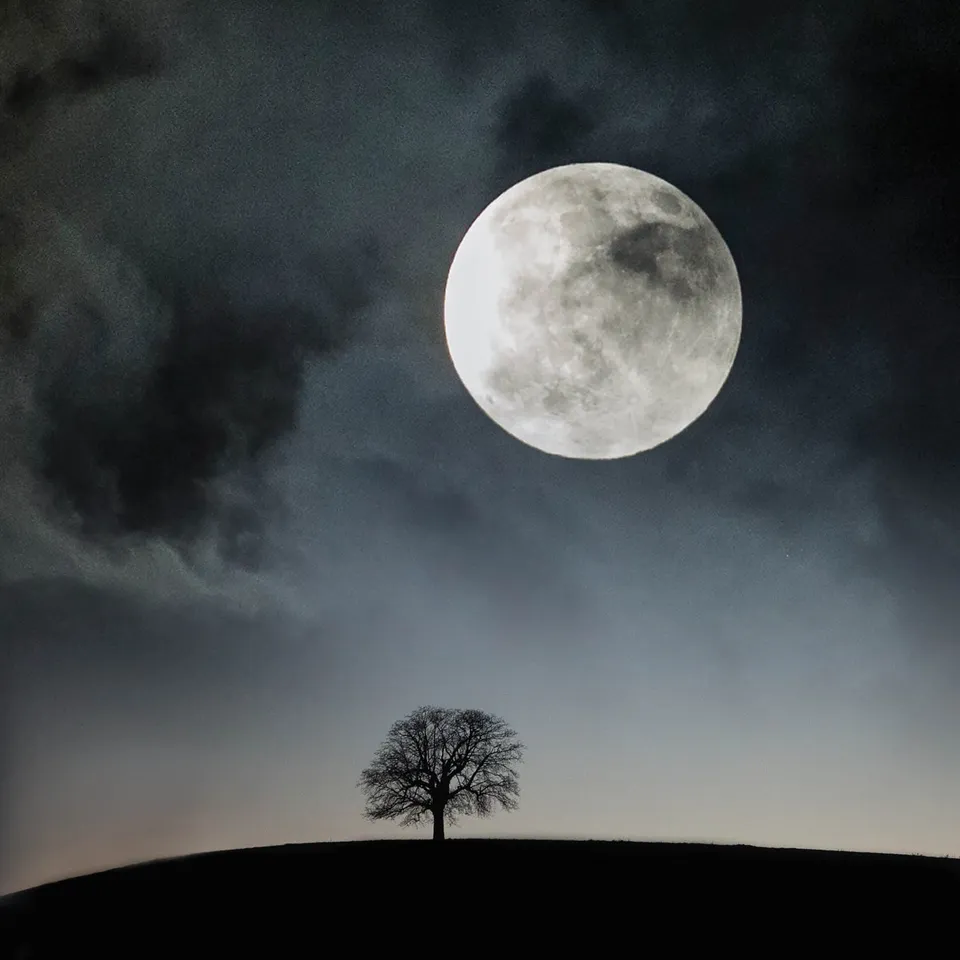 otter-house-alex-sharp-gru-karte-super-moon-170x170 image 1