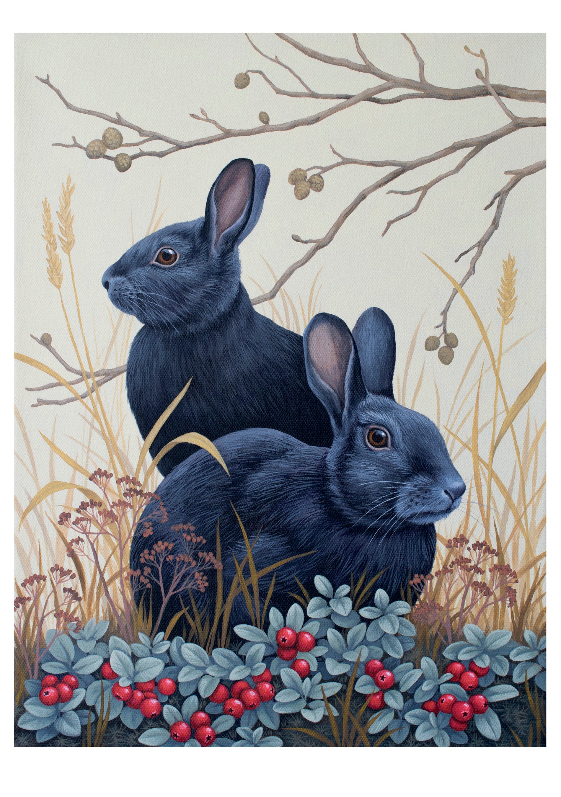 pomegranate-black-rabbits-klappkarte-romanenko-tiere-blanko image 1