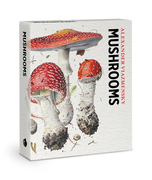 pomegranate-mushrooms-knowledge-cards-pilze-lernkarten-48-karten image 1