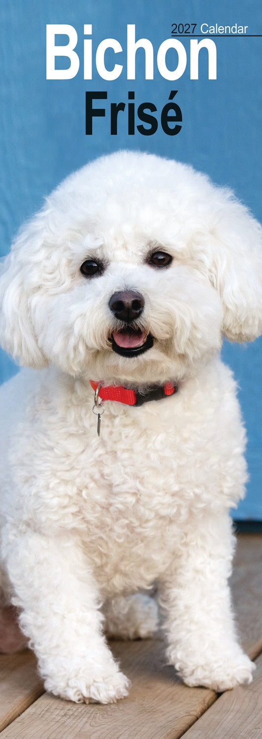 otter-house-bichon-frise-slim-kalender-2027-hunde image 1