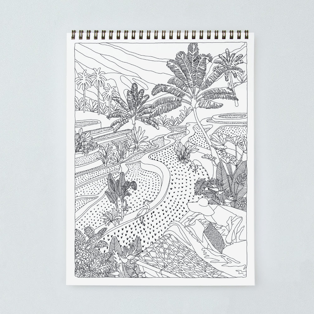 all-the-ways-to-say-cactus-plants-malbuch-a4-21-motive image 3