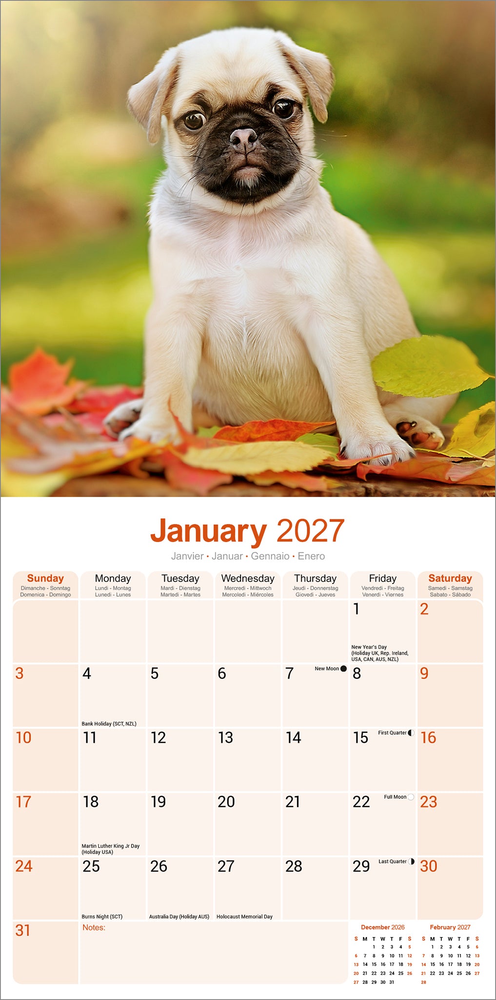 otter-house-pug-wandkalender-2027-mops-hundekalender image 3